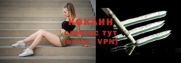 ECSTASY Майский