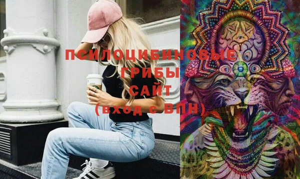 ECSTASY Майский