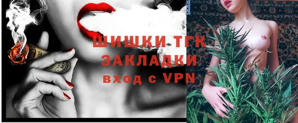 ECSTASY Майский