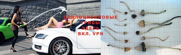 ECSTASY Майский